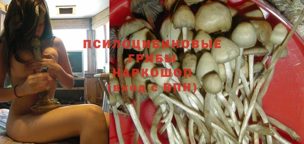 каннабис Алексин