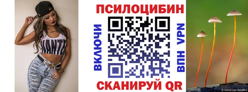 Галлюциногенные грибы Psilocybine cubensis Калининск